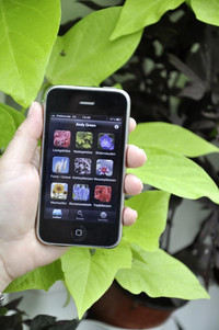 <p>Pflanzenkenntnisse sind für die Gärtnerinnen und Gärtner aller vier Fachrichtungen wichtig. Das Erlernen der bis zu 700 Pflanzennamen ist eine echte…</p>