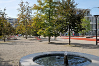 Kühleffekt von Stadtbäumen <p>Bereits heute ist es in den Städten rund 6°C wärmer als im Umland und durch den Klimawandel werden die Temperaturen weiter steigen. Dadurch gewinnen…</p>