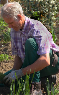 <p>Der Bundesrat erweitert das Umgangsverbot mit invasiven Neophyten ab September 2024. Der langjährige Staudengärtner Daniel Schneider hinterfragt in…</p>