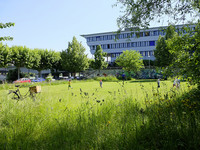 Cécile-Ines-Loos-Anlage, ein Kleinpark der besonderen Art <p>Ein verkehrsgeplagter Ort,engagierte Anwohnerinnen und Anwohner und eine jahrzehntelange politische Diskussion um ein Quartierzentrum liessen aus…</p>