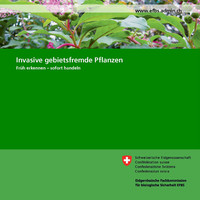 <p>Eine Informationsbroschüre macht auf die Notwendigkeit aufmerksam, invasive gebietsfremde Pflanzen früh zu erkennen und sofort zu handeln. Nur so kann…</p>