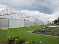 <p>Das Gewächshausklima beeinflusst die Pflanzenqualität und damit auch den Gewinn in hohem Masse. Ein unkontrollierter Anstieg der Gewächshaus- und…</p>