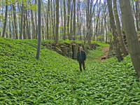 <p>Als «Waldkind» bezeichnet er sich, der Pianist und Komponist Martin Kohlstedt. Unlängst hat der 32-Jährige im Süden Thüringens über eine Hektare Land…</p>