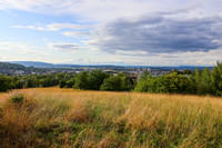 <p>Der Irchelpark rund um den Campus Irchel der Uni Zürich mit seinen Hügeln, Böschungen und Gewässern wirkt, als wäre er schon immer da gewesen.…</p>