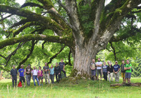 <p>Wie klingt eine «Appenzeller Sequoia»? Wie wurde die Sorte ‘Rygolder Pflümli‘</p><p>aus der Taufe gehoben? </p><p>Antworten darauf gab es an der Feier zum…</p>