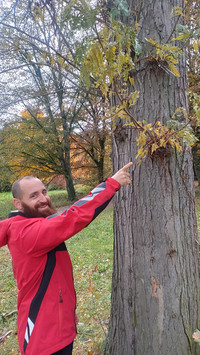 <p>Die Fichten machen es vor: Nicht alle Bäume mögen mit dem Tempo der Klimaveränderung mithalten. Baumpflegespezialist Dimitri ­Gallusser erläutert,…</p>