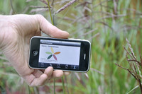 Kompakt und mobil, Pflanzen-Apps