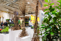 <p>Vom 27. bis 30. Januar können sich Besucherinnen und Besucher der IPM Essen 2026 in der neuen Gehölz-Arena Wissen über Praxis- und Zukunftsthemen rund…</p>