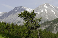<p>Mitte Juni begaben sich die fünf Gärtnerklassen des 1. Lehrjahres des Berufs- und Weiterbildungszentrums Rorschach-Rheintal im Rahmen der…</p>