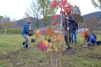 <p>Am dritten nationalen Heckentag vom 30. Oktober 2021 wurden an 18 Standorten in der Schweiz rund 1600 einheimische Heckenpflanzen gepflanzt.</p>