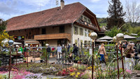 <p>Die veränderten Kriterien in der Berufsausbildung, die künftige Ausrichtung der Schule sowie das geplante Bauprojekt Bührerhaus wurden für die…</p>