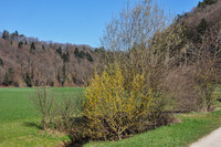 <p>Am 5. Februar wurde der unabhängige und gemeinnützige Verein Heckentag Schweiz</p><p>gegründet. Dieser verfolgt die Vision, den Heckenbestand in der Schweiz…</p>