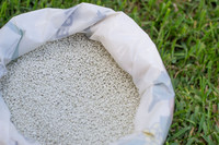 <p>Seit dem 1. Oktober 2025 beträgt die Pflichtlagermenge an reinem Stickstoffdünger in der Schweiz ein Drittel des durchschnittlichen jährlichen…</p>