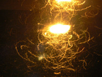 <p>Viele nachtaktive Insekten fallen der Lichtverschmutzung zum Opfer. Nun wurde in Deutschland das sechsjährige Verbundprojekt «Artenschutz durch…</p>