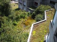 Flora und Fauna machen Schule <p>Die Umgebung des 50-jährigen Schulhauses im Gräfler wird seit langer Zeit naturnah gestaltet und gepflegt. Die Freiräume werden geschätzt und genutzt.…</p>