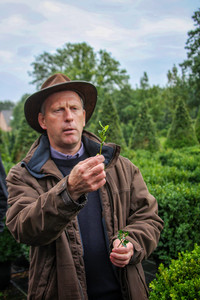 <p>Massiver Blattfall, teilweise nur punktuell, jedoch meist flächendeckend – in Baumschulen, privaten Gärten, Parkanlagen und auf Friedhöfen bietet sich…</p>