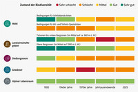 <p>Die Akademie für Naturwissenschaften Schweiz (SCNAT) hat die aktuellsten Ergebnisse aus der Biodiversitätsforschung in der neuen Publikation…</p>