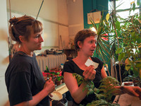 <p>Vor etwas mehr als einem Jahr riefen Nora Hürlimann und Kristina Hodel in Bern ihre Pflanzenbrocki ins Leben. Seitdem haben viele ihrer grünen…</p>