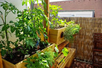 <p>Einfach ökologisch Gärtnern – mit den vertikalen, automatisierten Geco-Gardens-Kleingartensystemen ist die Eigenproduktion von Gemüse, Obst und…</p>