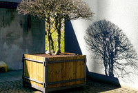 <p>Die aus Holz und Metall gebauten Pflanzkübel, bekannt als Caisses Versailles aus den französischen Barockgärten, gehören zu den altbewährten…</p>