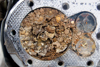 <p>Motorgartengeräte können eine nahezu perfekte Tierbehausung sein: gut isoliert, ruhig, geräumig und geschützt vor Fressfeinden. Sind zudem die Geräte…</p>