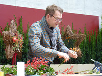 Der österreichische Starflorist