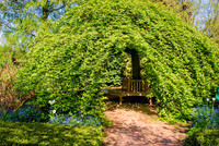 <p>Oft wird ein hoher technischer Aufwand betrieben, um im Garten im Schatten sitzen zu können. Eine nachhaltigere Lösung könnte möglicherweise sein,…</p>