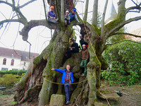 <p>Um die Umweltleistungen eines alten Baumes zu kompensieren, sind etwa 400 junge Bäume notwendig. Dies fand der Dresdner Forstwissenschaftler Prof.…</p>