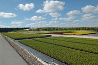 <p>Die drei hier vorgestellten Unternehmen widerspiegeln beispielhaft die dynamische Entwicklung am polnischen Markt. Anlässlich der letztjährigen «Green…</p>