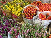 <p>Am 21. November fand die erste Pflanzenversteigerung von FloraHolland mit zentralen Uhren statt. </p>