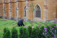 Hier war nicht der Maulwurf