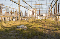 <p>Der Binding Preis für Biodiversität 2026 geht an den Ueberlandpark in Schwamendingen. Die Fachjury würdigt insbesondere die beispielhafte Verknüpfung…</p>