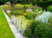 Zwischen dem Staudenbeet