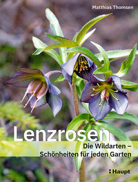 <p>Lenzrosen sind&nbsp;wunderschöne Frühblüher für den Garten. Im Buch werden alle wilden Lenzrosen-Arten Europas porträtiert.</p>