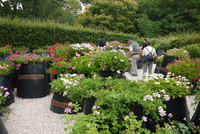 <p> Blätter und Blüten, Farben und Formen, Früchte und Samen – diesen Sommer stand die Gartenschau im Tal der Loire unter dem Motto «Jardins de…</p>