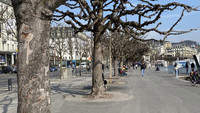 <p>Die Stadt Luzern lässt von einer externen Firma die Standfestigkeit von 15 Bäumen am Schweizerhofquai untersuchen. Grund ist der überraschende Umsturz…</p>