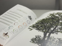 <p>Mit dem neuen Gehölz-Atlas will die Bauer Baumschulen AG ein einfaches Nachschlagewerk bieten, das durch eine vielfältigere und wachsende…</p>