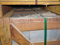 <p>Der Asiatische Laubholzbockkäfer ist ein besonders gefährlicher und deshalb meldepflichtiger Schadorganismus. Er befällt verschiedenste Laubholzarten…</p>