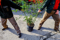 <p>Das Leistungsverzeichnis ist mehr als nur ein Beschrieb der zu erfüllenden Leistungen. Zwischen den Zeilen gibt es wichtige Hinweise darauf, auf…</p>