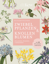 <p>Mit Zwiebelblumen lässt sich ein Garten zum Ende des Winters wieder in ein faszinierendes Blütenmeer verwandeln. Es gibt eine Fülle an frühblühenden…</p>