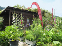 <p>Um die biologische Gartenpraxis zu fördern, unterstützt die Stadt Zürich Kleingärtnerinnen und Kleingärtner mit einem neu entwickelten Wissensangebot.…</p>