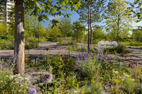 <p>Nahe dem Rhein liegt das Areal der DSM-Firmenich AG in Kaiseraugst. Die vormals monotonen Rasenflächen sind seit der Umgestaltung ein öffentlich…</p>