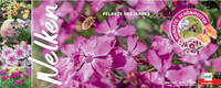 <p>Die EGP, florist.ch und JardinSuisse haben die Nelke (Dianthus) zur Pflanze des Jahres 2026 gekürt – und damit eine Wahl getroffen, die kaum…</p>