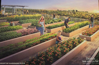 <p>Unter dem Motto «Die Stadt ist unser Garten» haben über 100 Garteninitiativen aus Deutschland ein Manifest veröffentlicht. Sie wollen damit…</p>