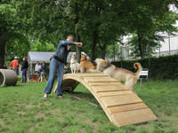Hundeareal im Horburgpark