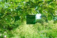 <p>Ob in Parks, botanischen Gärten, Baumschulen, Staudengärtnereien oder auch im Privatgarten – unter verschiedenen Aspekten ist es erwünscht oder auch…</p>