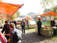 <p>Der traditionelle Obstortenmarkt im Botanischen Garten der Uni Zürich wird trotz den bekannten äusseren Umstände durchgeführt.&nbsp;Am&nbsp;24. Oktober 2020…</p>