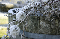 <p>Auch wenn sich heuer der Winter noch kaum gezeigt hat, herrscht doch unverkennbar Winter. Die deutlichsten Anzeichen sind die kurzen Tage, der tiefe…</p>