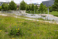 <p>Ab Mitte April 2025 zeigt eine Ausstellung in der Stadtgärtnerei Zürich, wie wertvolle Lebensräume in der Stadt für Pflanzen und Tiere geschaffen,…</p>