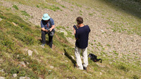 <p>Die Pflanzenwelt der Alpen verändert sich. Arten erschliessen neue Lebensräume in höheren Lagen, andere verschwinden oder werden in tieferen Regionen…</p>